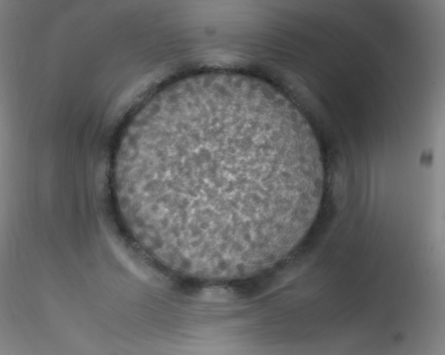 X0000115180591200911251358