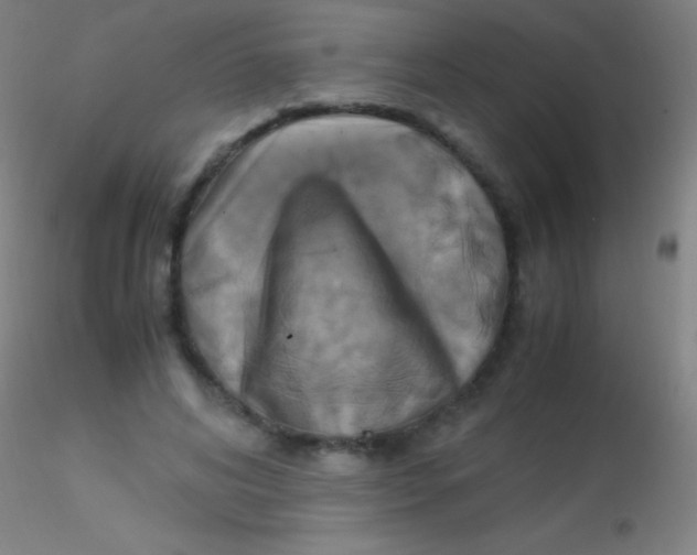 X0000115180592200911251358