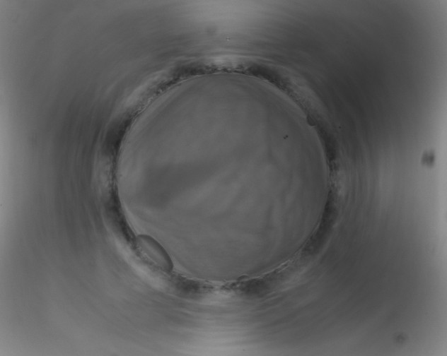 X0000115180593200911251358