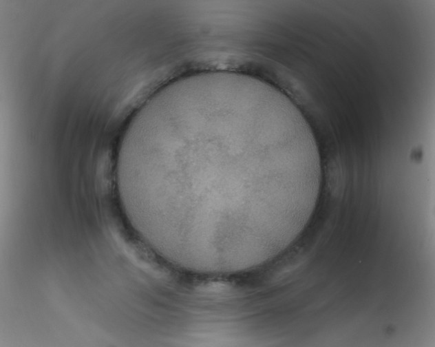 X0000115180594200911251358