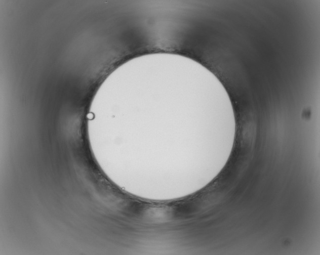 X0000115180595200911251358