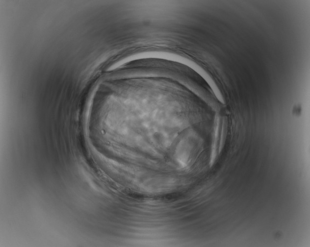 X0000115180596200911251358