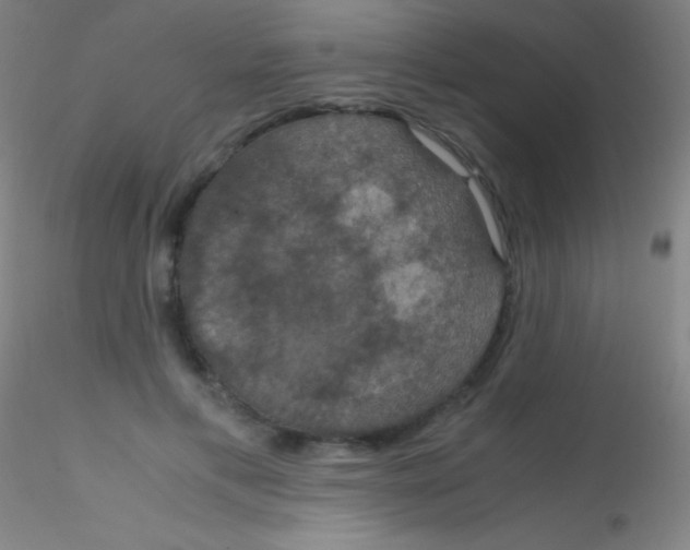 X0000115180597200911251358