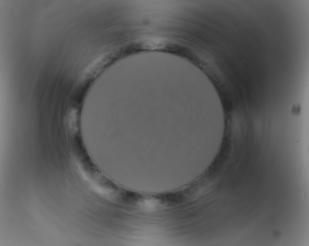 X0000115180598200911251358