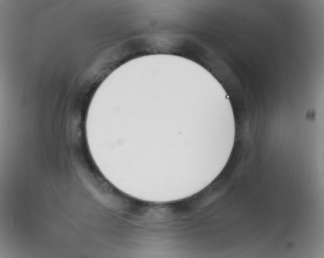 X0000115180599200911251358