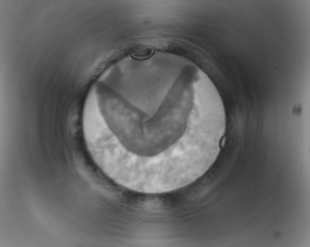 X0000115180600200911251358