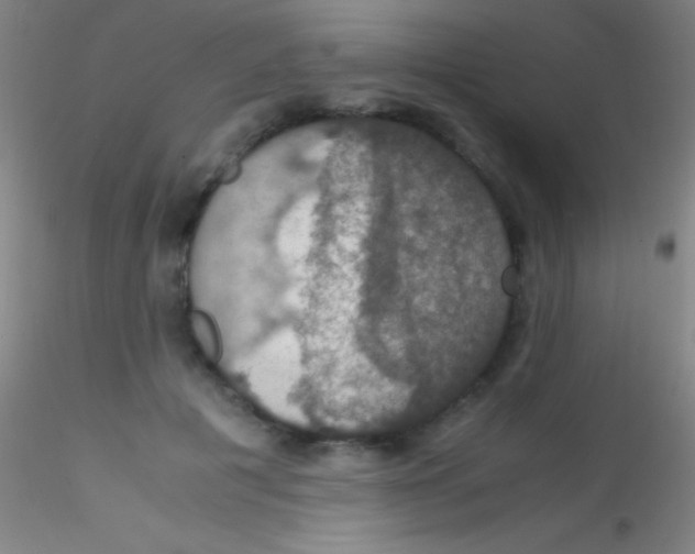 X0000115180601200911251358