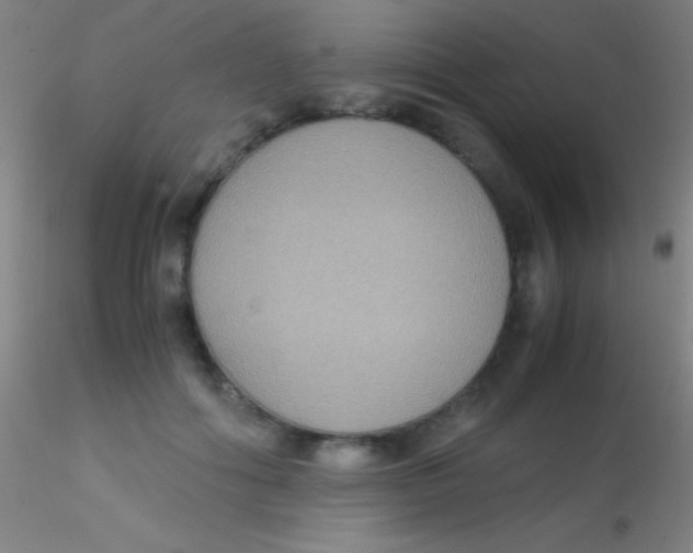 X0000115180602200911251358