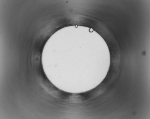 X0000115180603200911251358