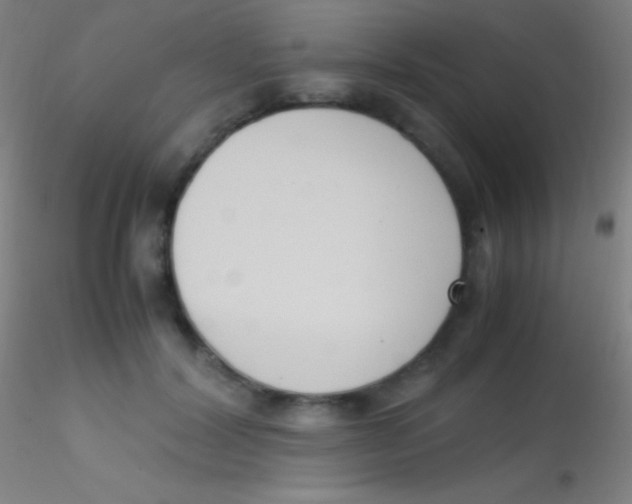 X0000115180604200911251358