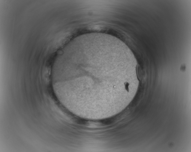 X0000115180605200911251358