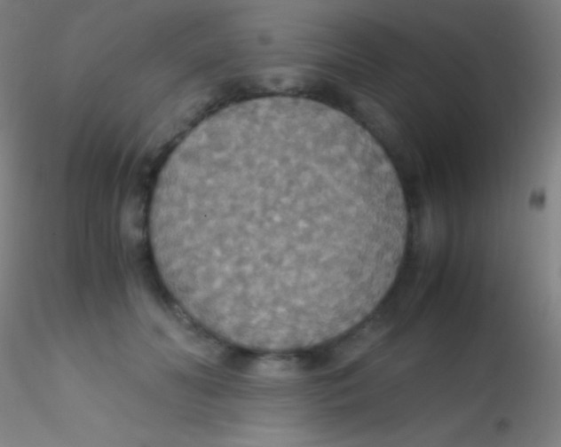 X0000115180606200911251358