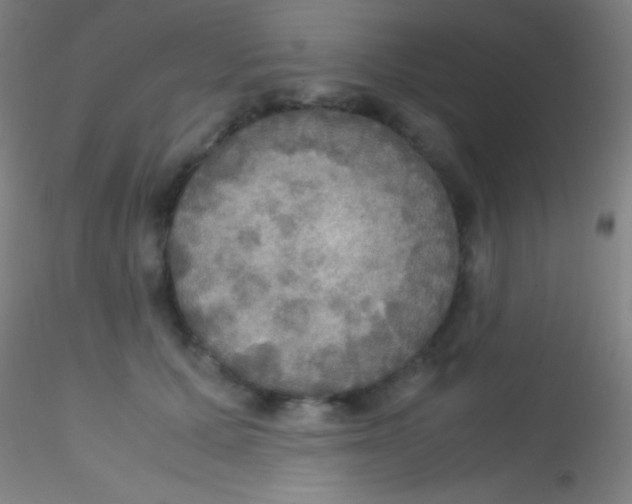 X0000115180607200911251358