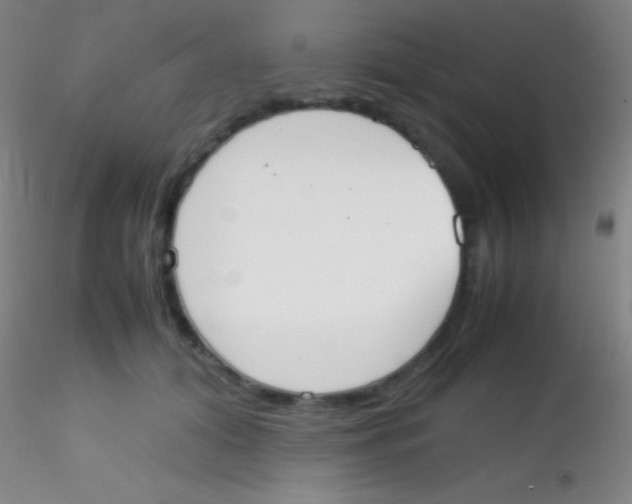X0000115180608200911251358