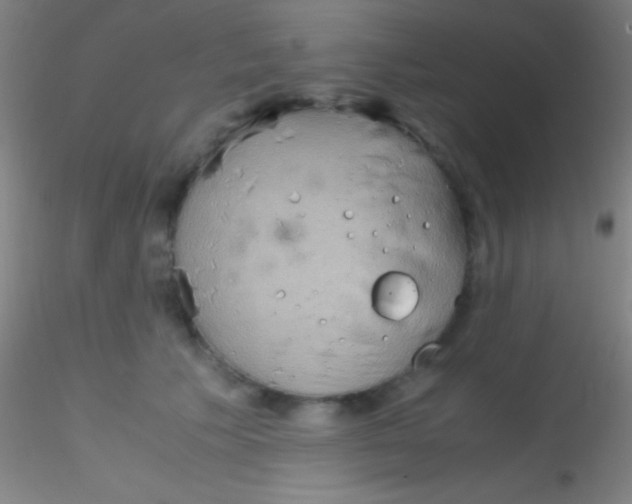 X0000115180609200911251358