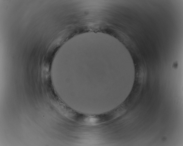 X0000115180610200911251358