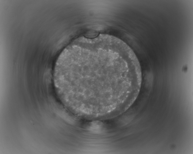 X0000115180612200911251358