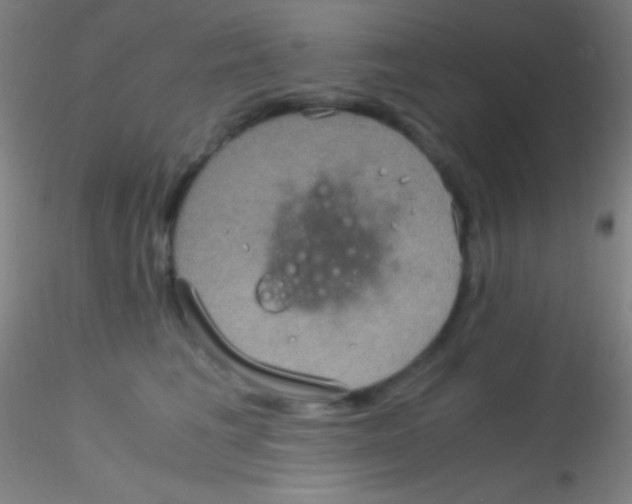 X0000115180613200911251358