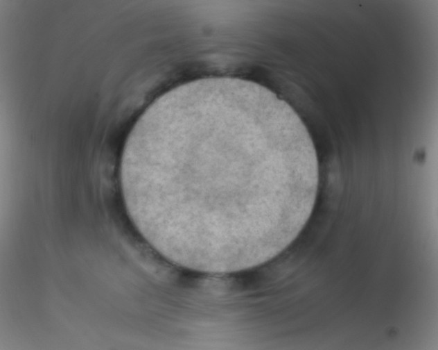 X0000115180615200911251358