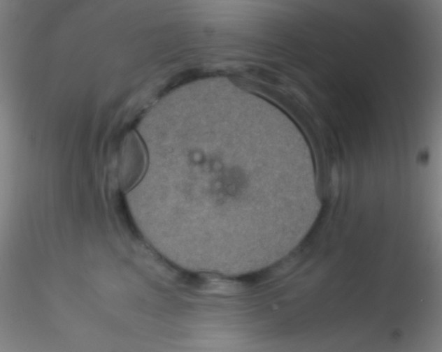 X0000115180617200911251358