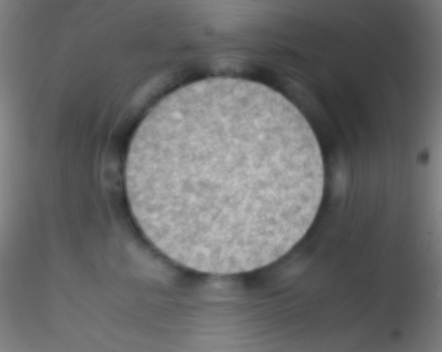 X0000115180619200911251358