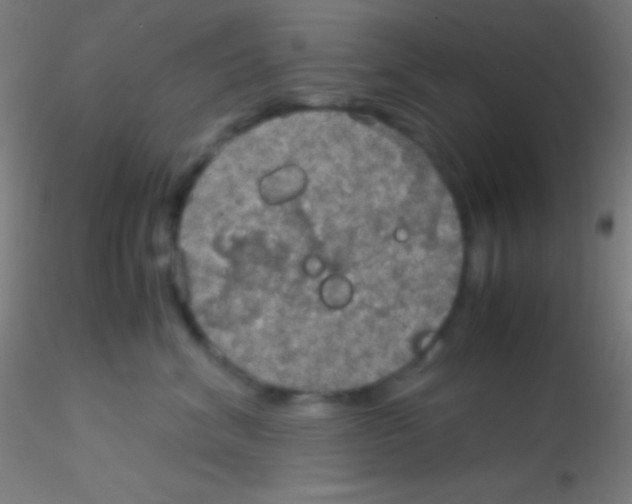 X0000115180620200911251358