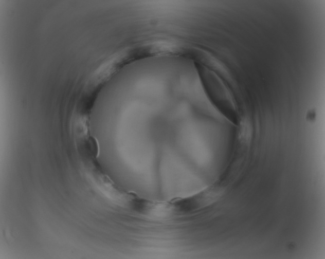 X0000115180621200911251358