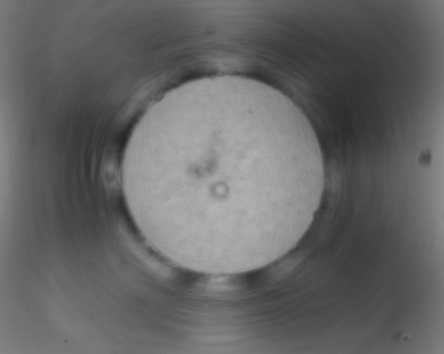 X0000115180622200911251358