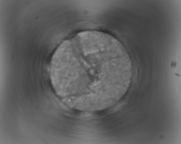 X0000115180624200911251358