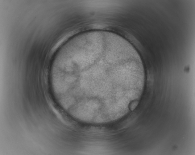 X0000115180626200911251357