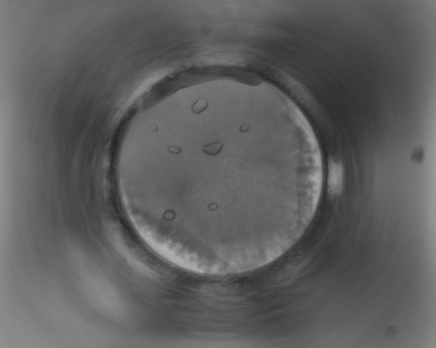 X0000115180627200911251357