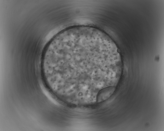 X0000115180630200911251357