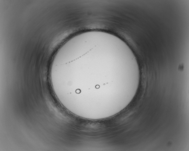 X0000115180631200911251357