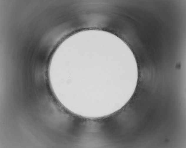 X0000115180632200911251357