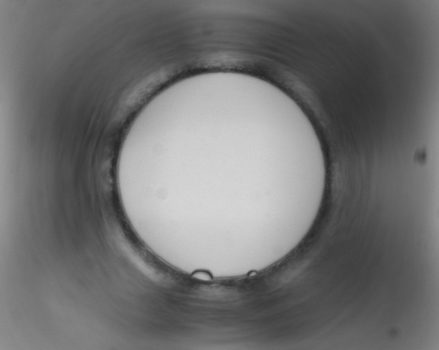 X0000115180633200911251357