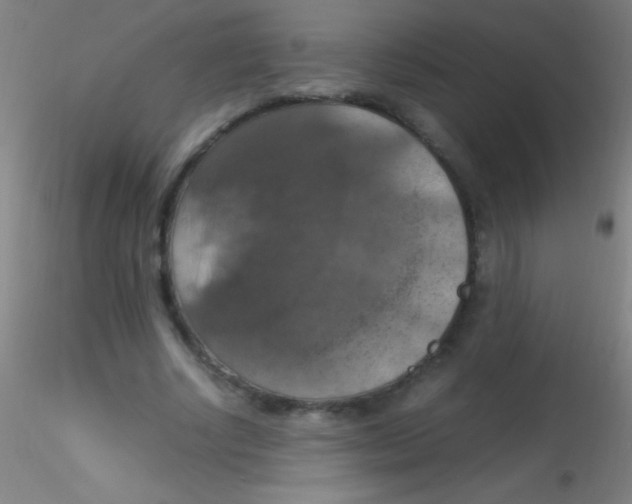 X0000115180634200911251357