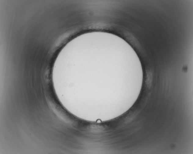 X0000115180636200911251357