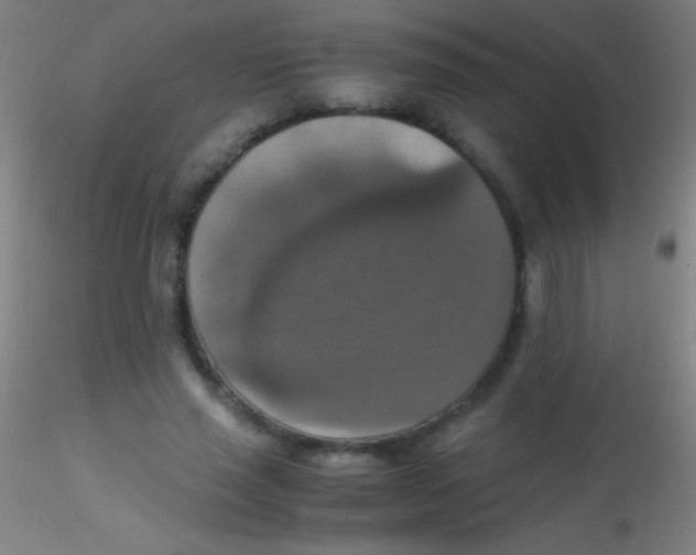 X0000115180637200911251357