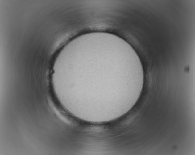 X0000115180638200911251357