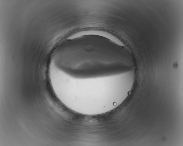 X0000115180640200911251357
