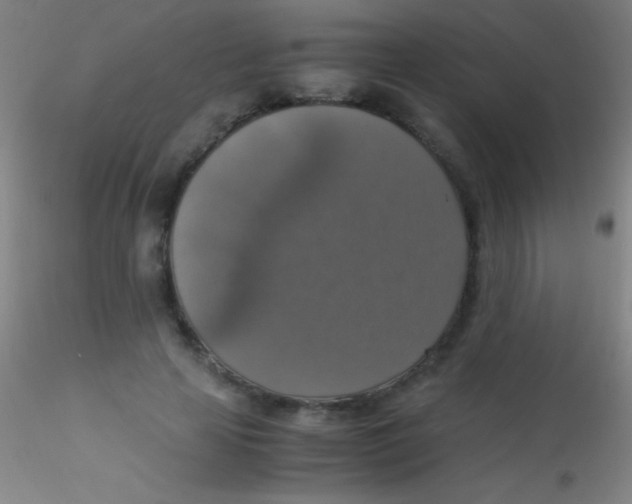X0000115180641200911251357