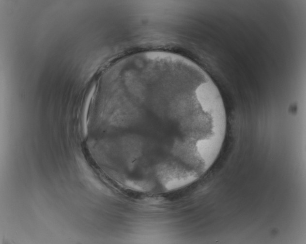X0000115180642200911251357