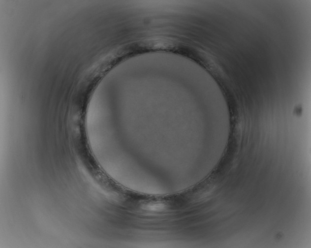 X0000115180643200911251357