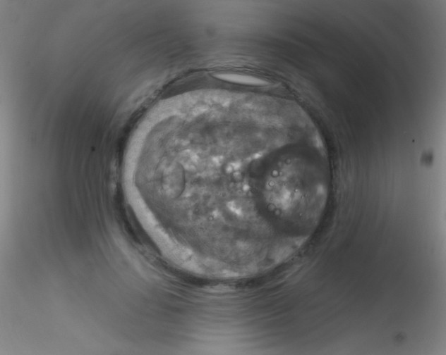 X0000115180644200911251357