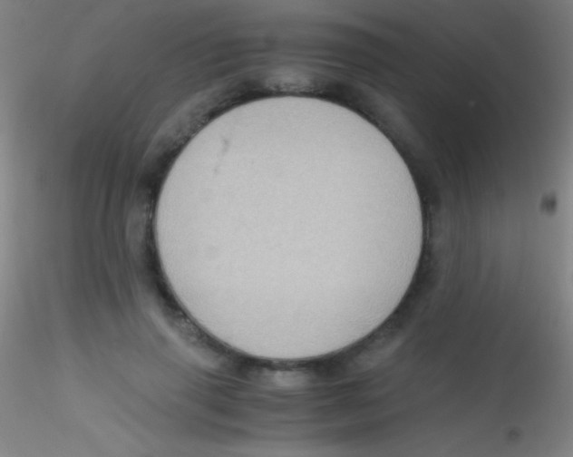 X0000115180645200911251357