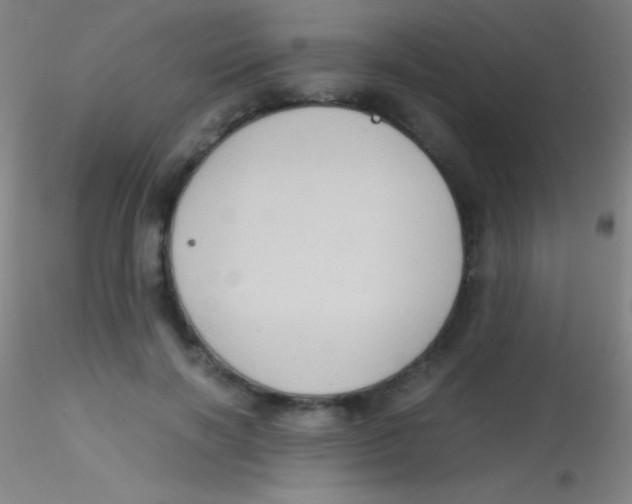 X0000115180646200911251357