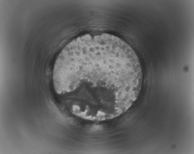 X0000115180647200911251357