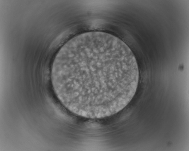 X0000115180648200911251358