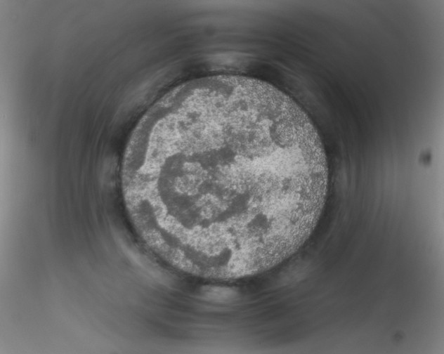 X0000115180649200911251358