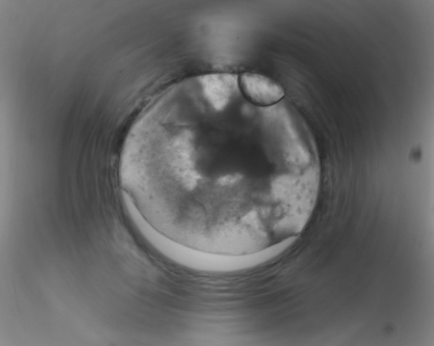 X0000115180650200911251358